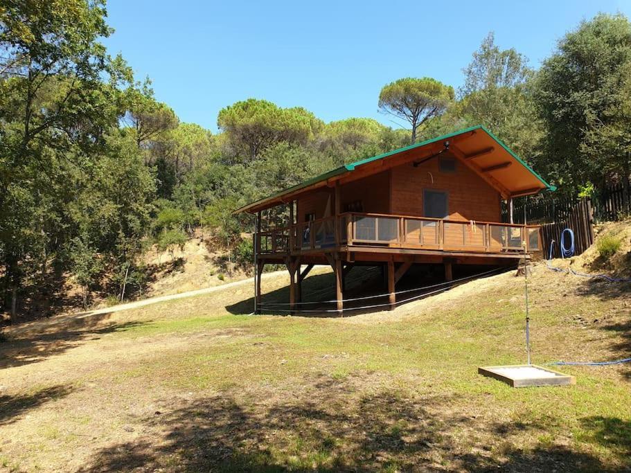 Rustic Cabin In The Woods/Cabana En El Bosque Amer المظهر الخارجي الصورة