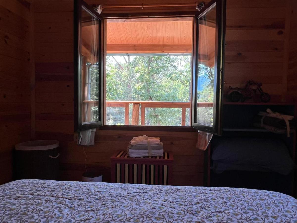 Rustic Cabin In The Woods/Cabana En El Bosque Amer المظهر الخارجي الصورة